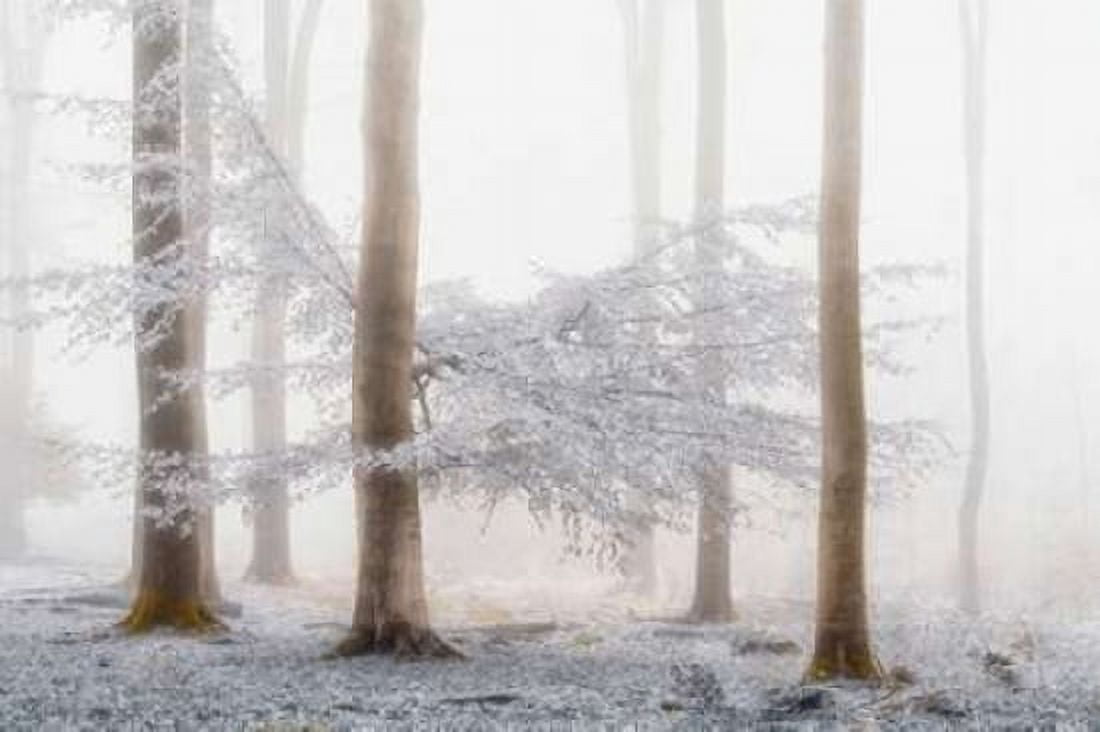 Lishka Canvas Art - Lars Van de Goor (24 x 36)