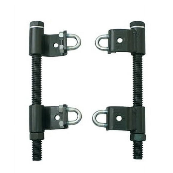 Lisle 62300 - Mcpherson Strut Tool