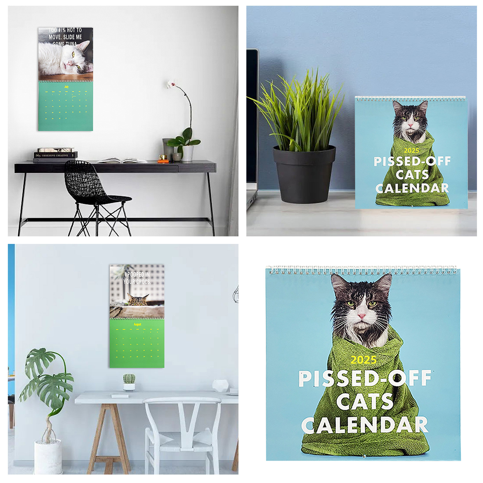 Lispipm Cats Calendar 2025 Angry Felines Monthly Planner 20252026