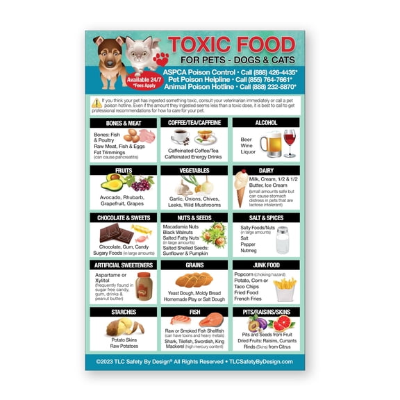 List Of Toxic Harmful Foods For Pets Poster - Dog Cat Feeding Chart - People Food Dogs Cats Should Not Eat - Pet Safety - Pet Adoption Essentials Gift poster