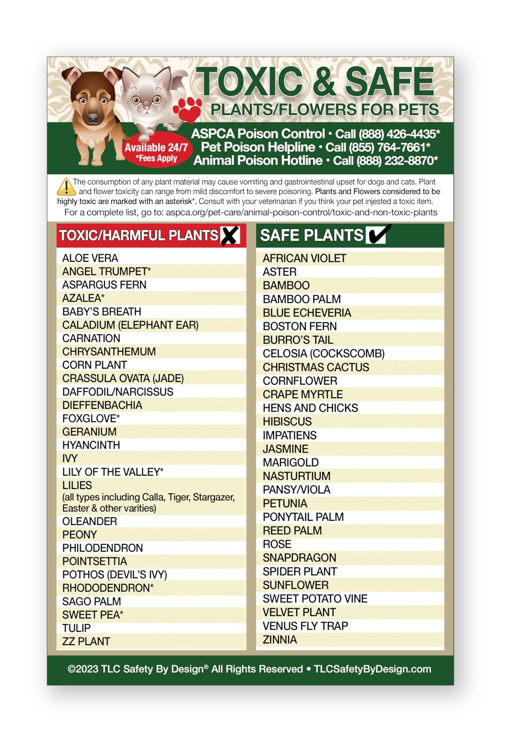 List Toxic Safe Plants Poster Flowers For Pets - Dog Cat Chart - Plants ...