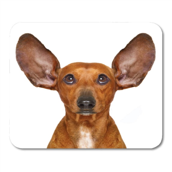 Listen Dachshund Sausage Dog Listening Both Ears Very Carefully Funny Mousepad Mouse Pad Mouse Mat 9x10 inch