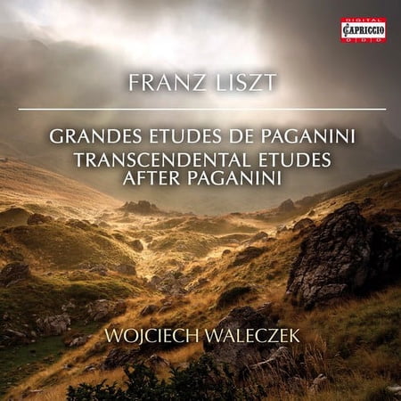 Liszt / Walaczek - Transcendental Etudes After Paganini - Music & Performance - CD