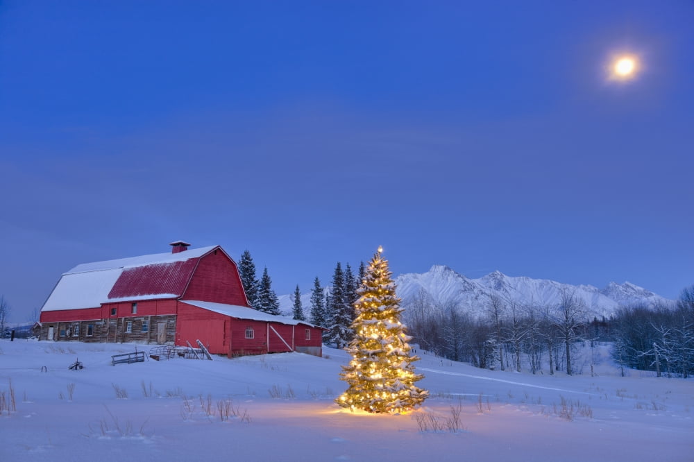 Lit Christmas Tree In A Snow Covered Field Standing In Front Of A Vintage Red Barn At Dusk With Chugach MountainsPalmer Alaska Usa Canvas Art - Kevin Smith Design Pics (19 x 12)