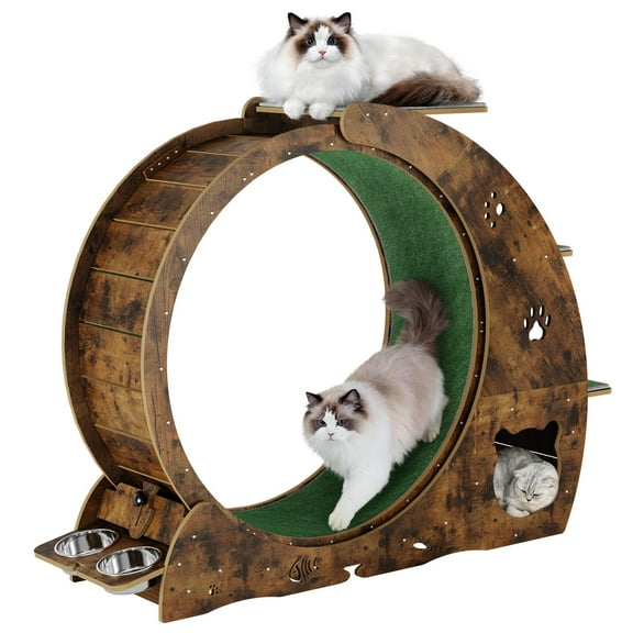 Litake 4-in-1 Cat Wheels for Indoor Cats, 40 Inch Large Cat Exercise Wheel, Running Treadmill Wheel with Carpeted Runway, Scratcher
