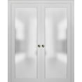 thumbnail image 1 of Lite Double Pocket Frosted Glass Doors 64 x 96, 1 of 7