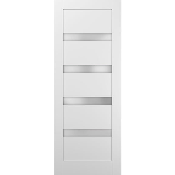 Lite Slab Barn Door Panel 24 x 84
