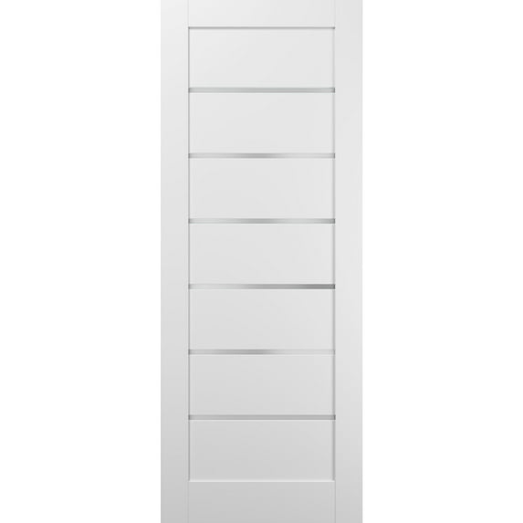 Lite Slab Barn Door Panel 24 x 96