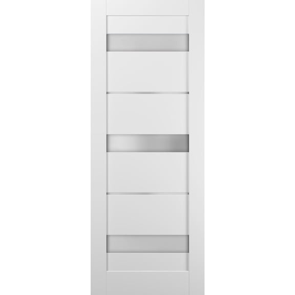 Lite Slab Barn Door Panel 28 x 80