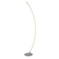 thumbnail image 1 of Lite Source Ls-83560 Monita 52" Tall Led Accent Floor Lamp - Silver, 1 of 7