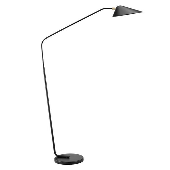 Lite Source Ls-83627 Jerome 67" Tall Accent Floor Lamp - Black