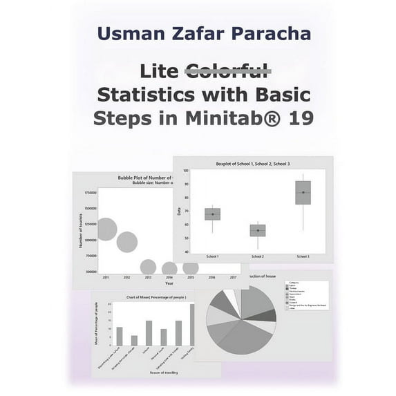 Lite Statistics with Basic Steps in Minitab(R) 19 (Paperback)