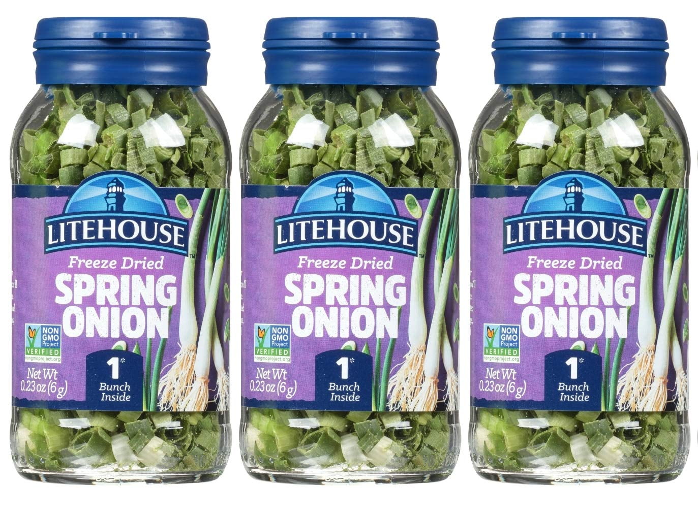 Litehouse Freeze Dried Spring MMF7 Onion Substitute for Fresh Spring