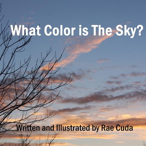 Literacy Links to Phonology What Color is the Sky?, Book 5, (Paperback)