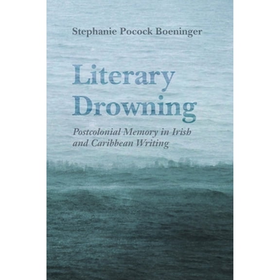 Pre-Owned Literary Drowning: Postcolonial Memory in Irish and Caribbean Writing (Irish Studies) Paperback