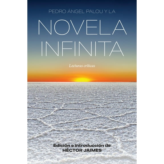 Literatura y Cultura: Pedro ngel Palou Y La Novela Infinita: Lecturas Crticas (Paperback)