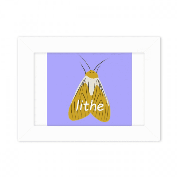 Lithe Moth Phengophil Winged Insect Photo Mount Frame Picture Art Painting Desktop 5x7 inch