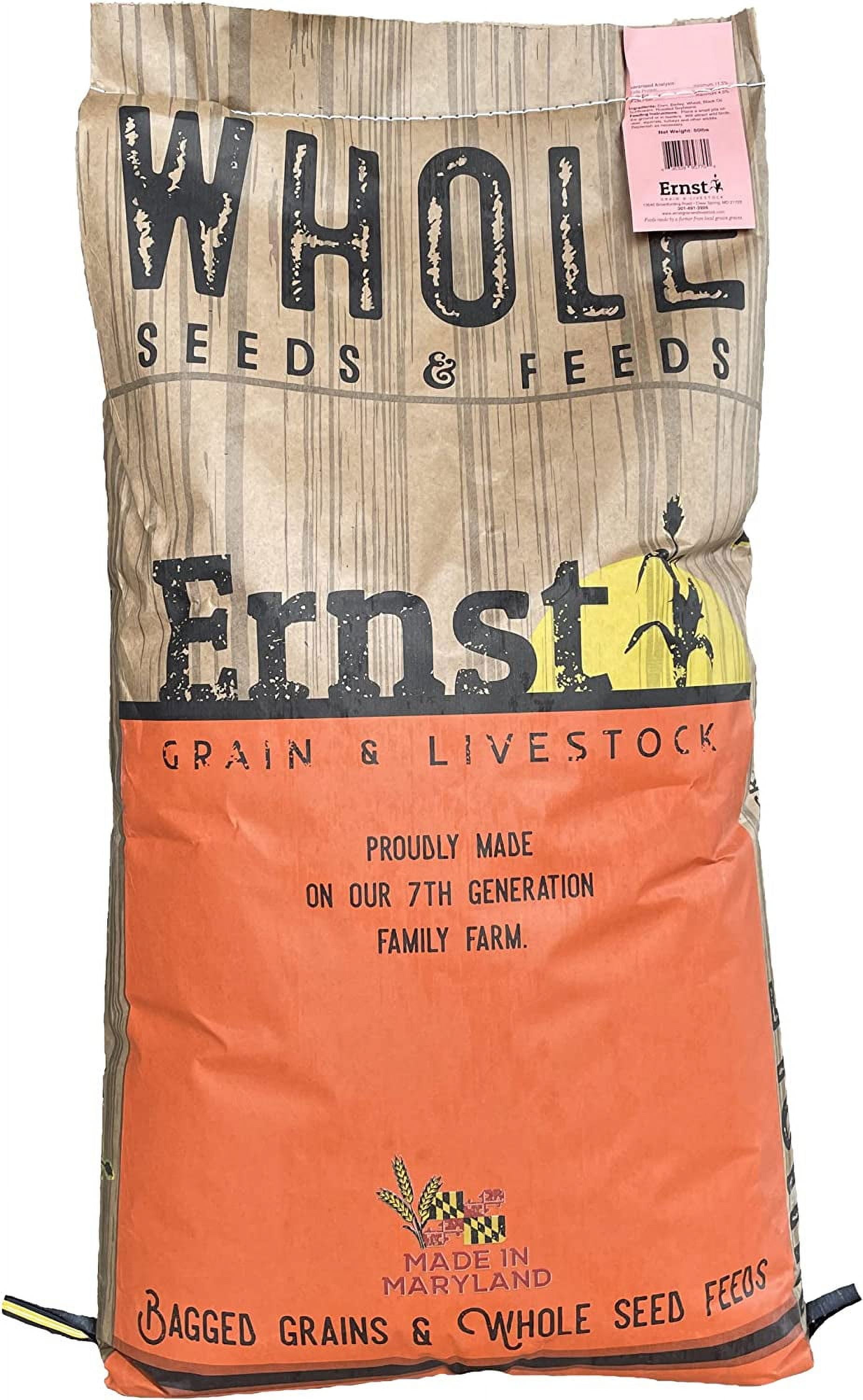 Litian Ernst Grain Shelled Corn, Non-GMO  Perfect Feed for Deer, Squirrels, Chickens, Ducks, Rabbits, Geese, and More! (46 lb)