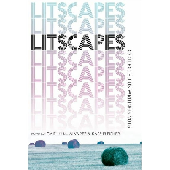 Litscapes: Collected US Writings 2015 (Paperback)