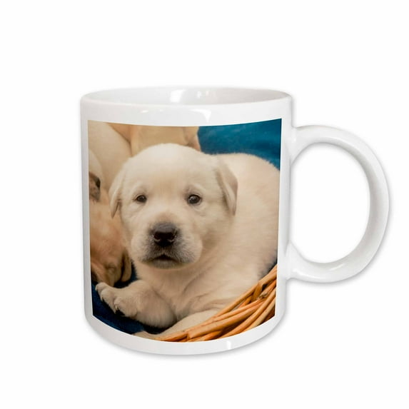 3drose, Litter of One-month-old Yellow Labrador Puppies., 11oz Mug