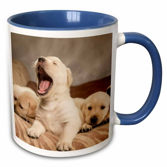 3drose, Litter of One Month Old Yellow Labrador Puppies., 15oz Two-tone Blue Mug