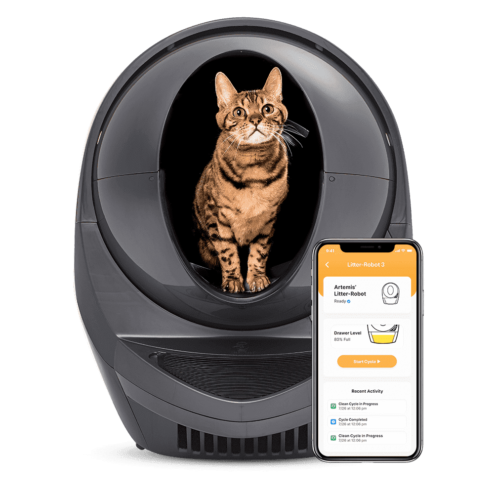 Gray Automated Self-Cleaning Cat Litter Box with WiFi