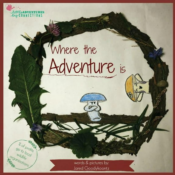 Little Adventures Big Connections Where the Adventure is, Book 1, (Paperback)