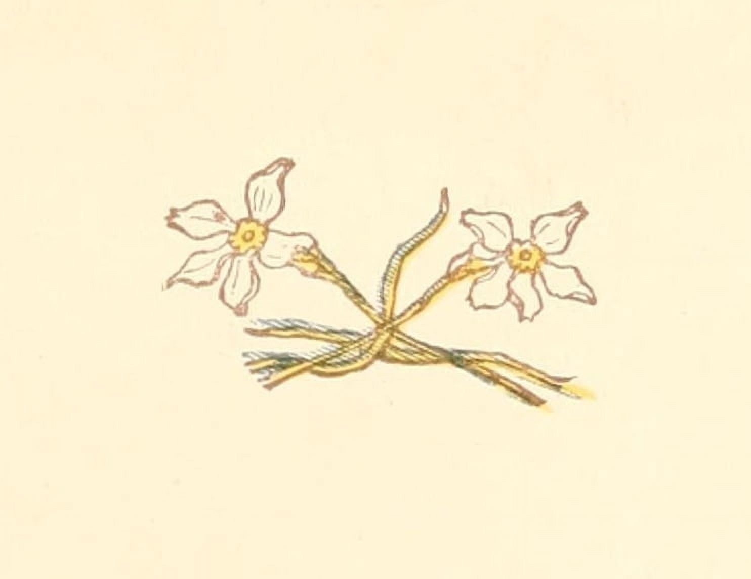 Little Ann & other Poems 1890 Crossing Narcissus Canvas Art - Kate Greenaway (18 x 24)