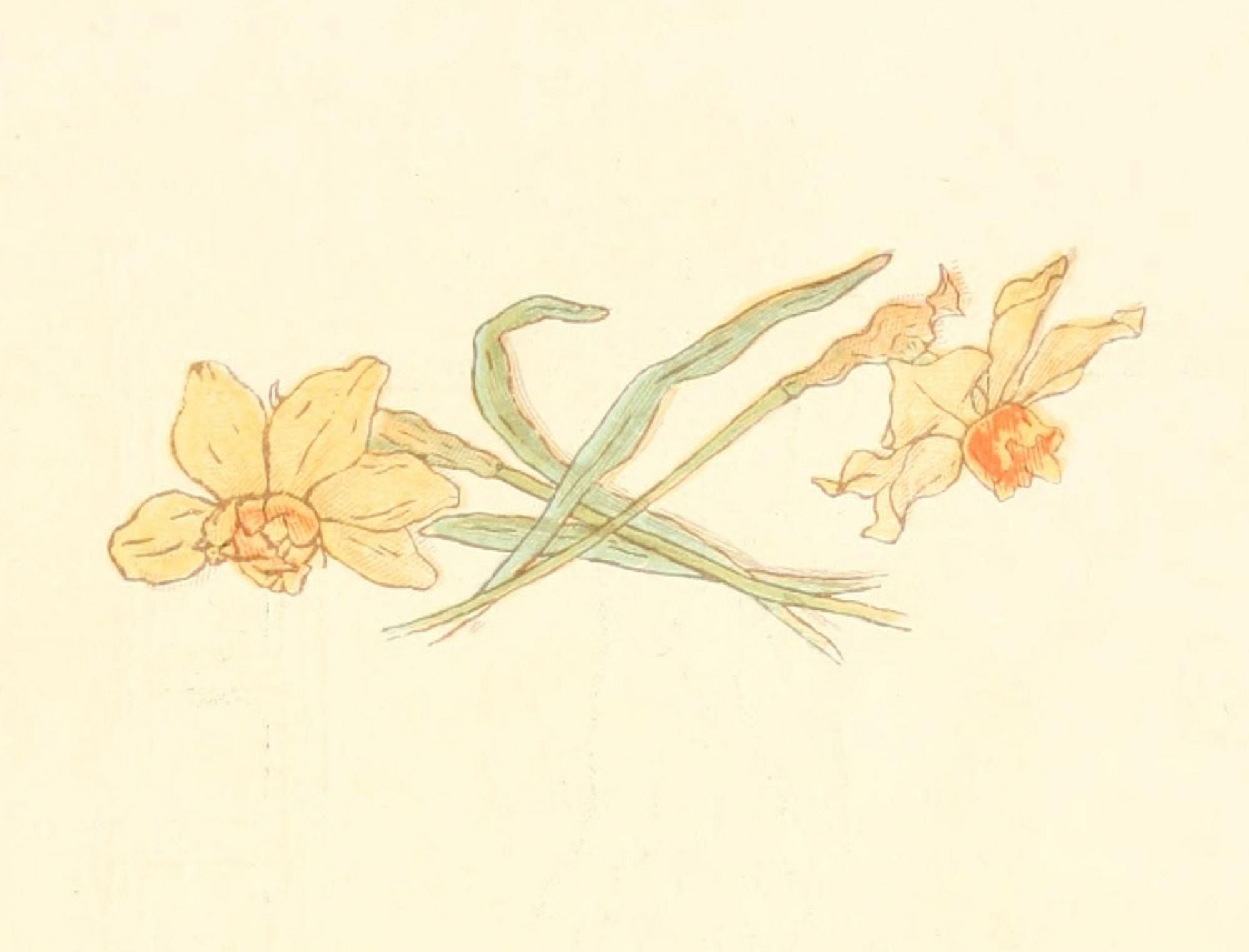 Little Ann & other Poems 1890 Daffodils Canvas Art - Kate Greenaway (24 x 36)