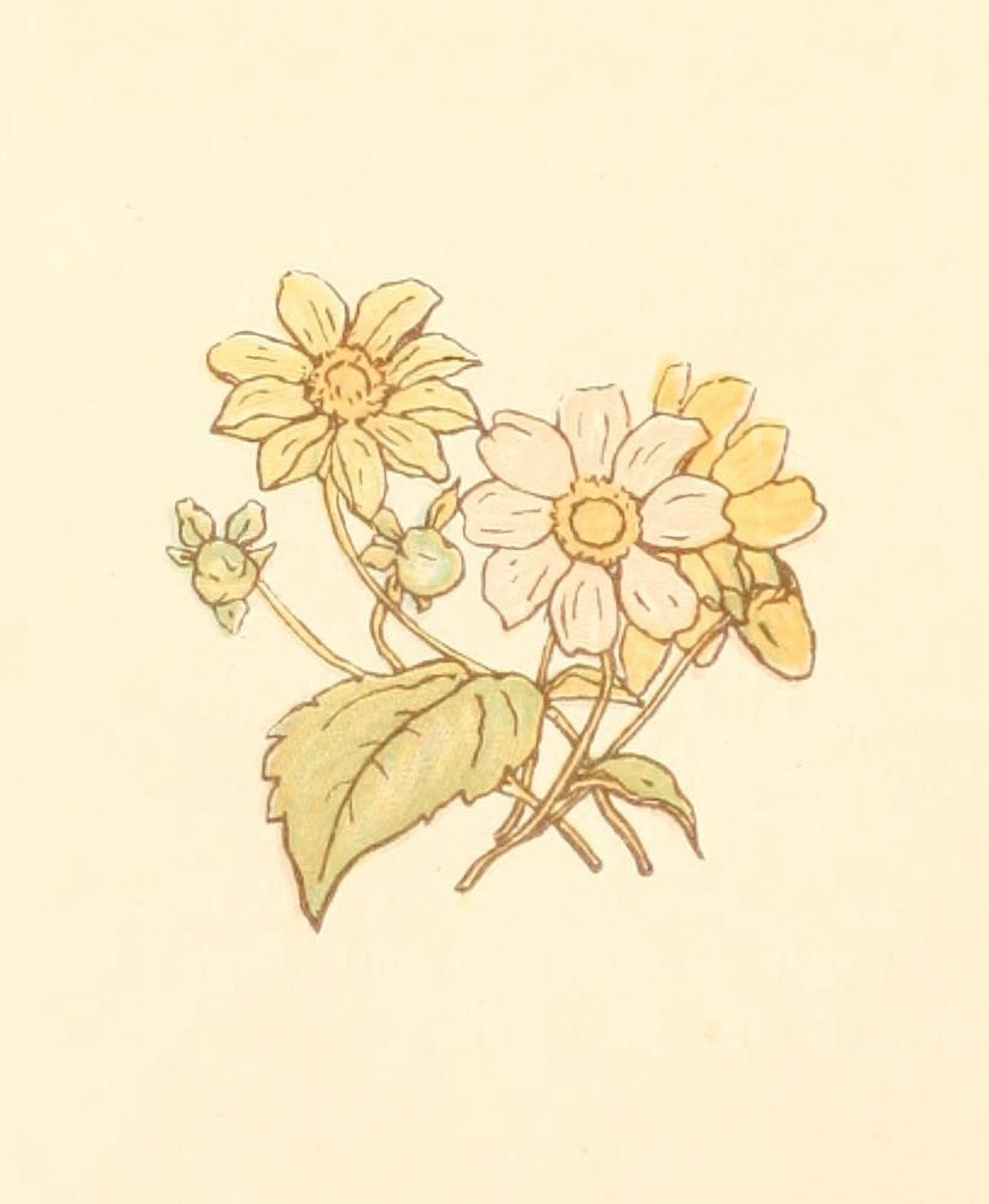 Little Ann & other Poems 1890 Flower posy Canvas Art - Kate Greenaway (24 x 36)