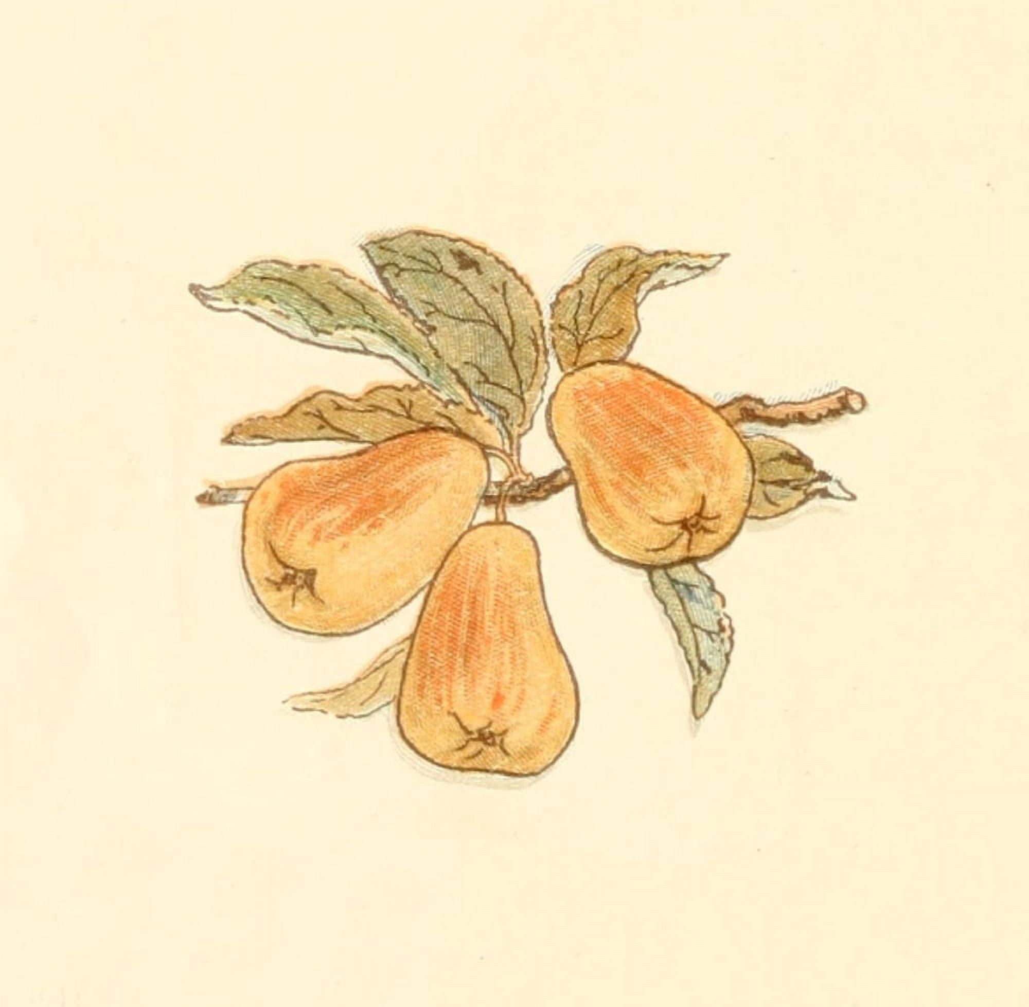 Little Ann & other Poems 1890 Pears Canvas Art - Kate Greenaway (24 x 36)