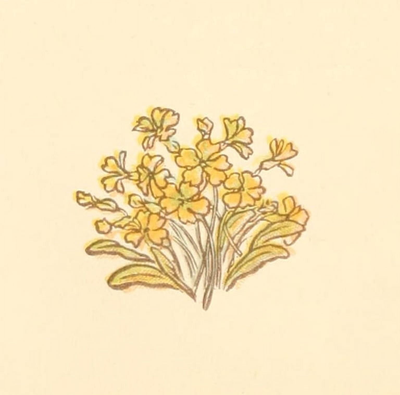 Little Ann & other Poems 1890 Primroses Canvas Art - Kate Greenaway (18 x 24)