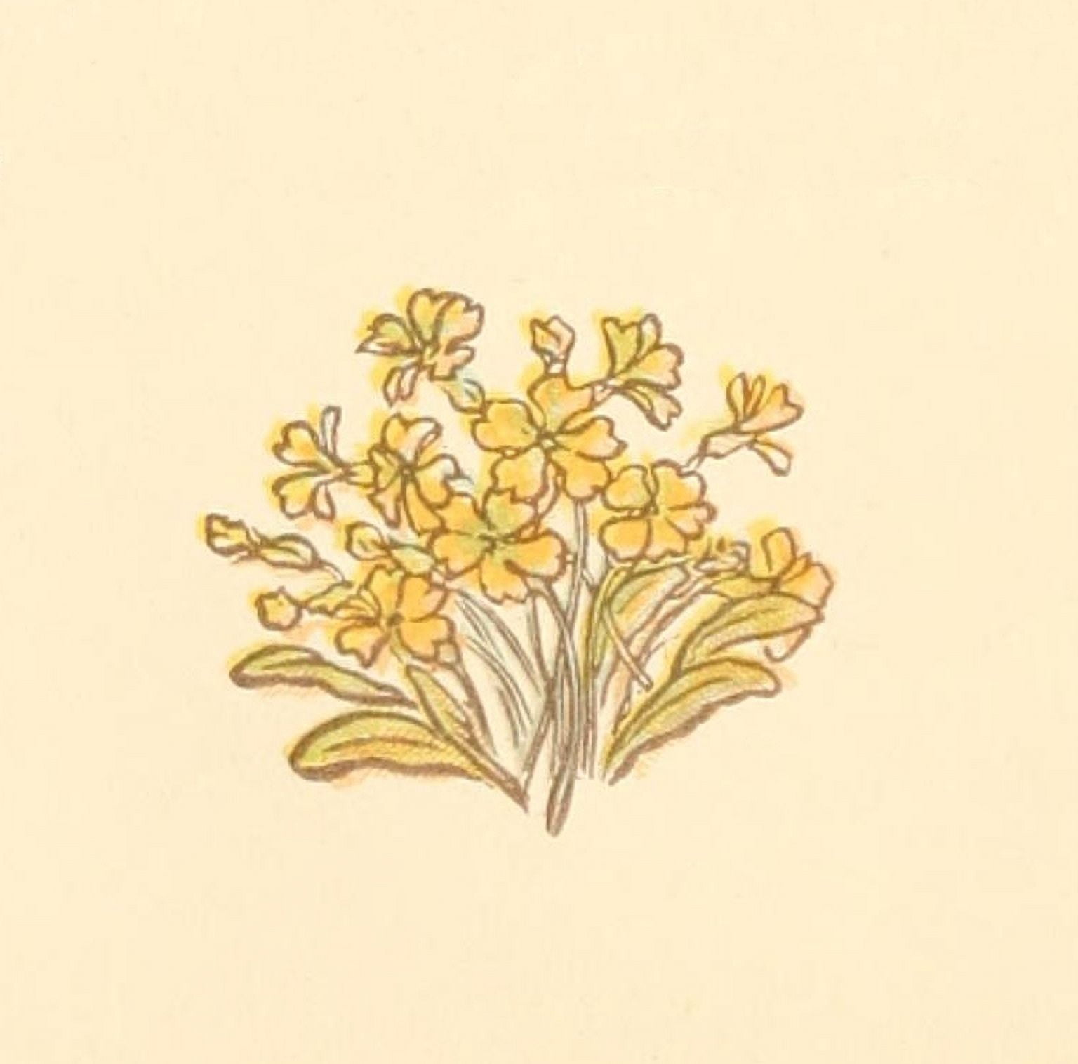Little Ann & other Poems 1890 Primroses Canvas Art - Kate Greenaway (24 x 36)