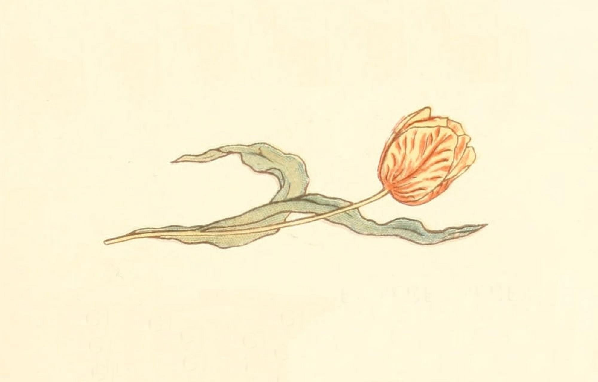 Little Ann & other Poems 1890 Tulip Canvas Art - Kate Greenaway (24 x 36)