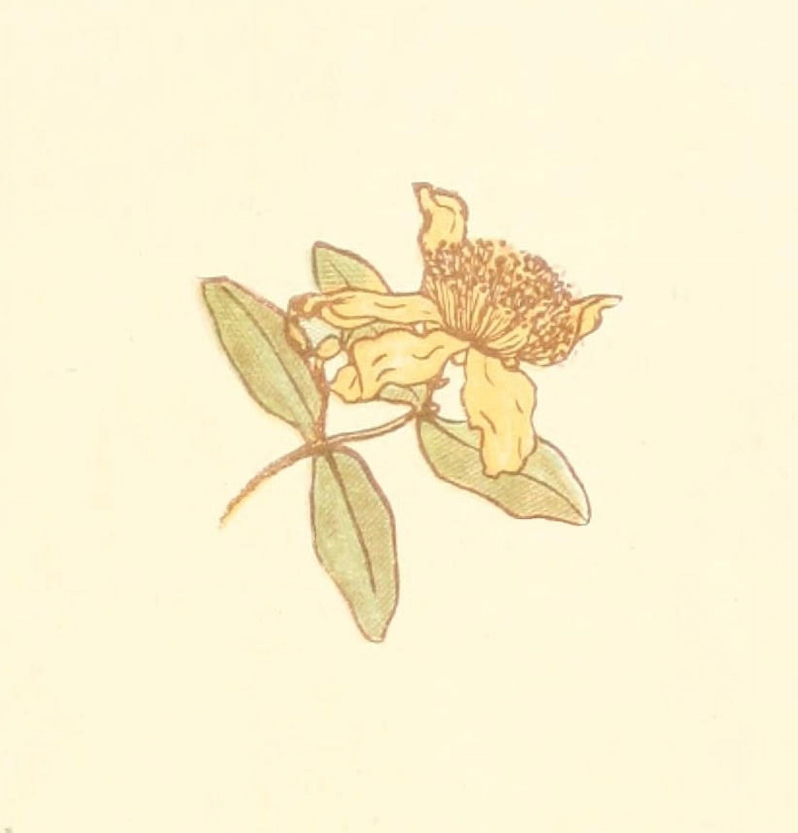 Little Ann & other Poems 1890 Yellow flower Canvas Art - Kate Greenaway (24 x 36)