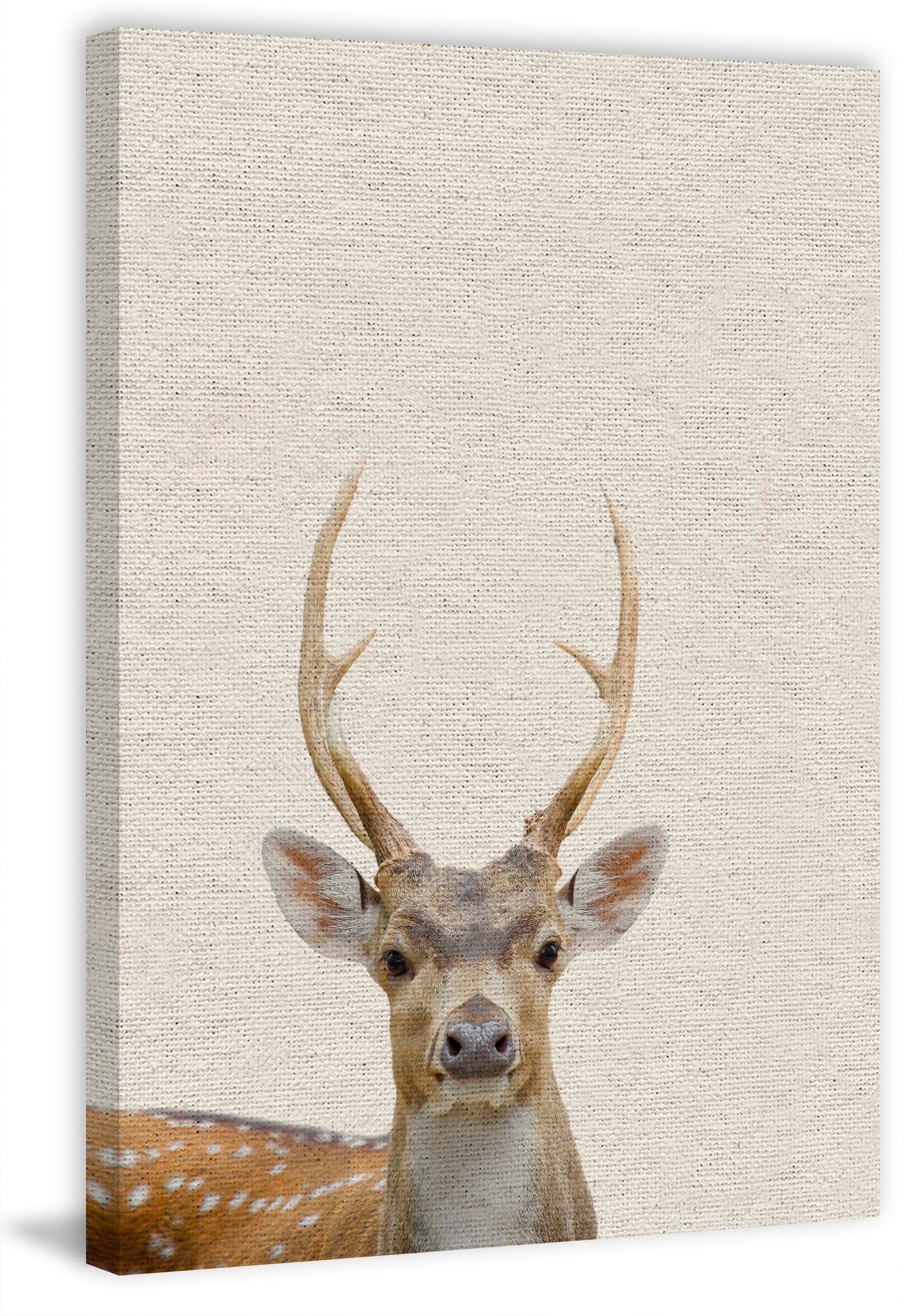 Little Antler Painting Print on Wrapped Canvas