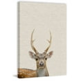 thumbnail image 1 of Little Antler Painting Print on Wrapped Canvas, 1 of 7