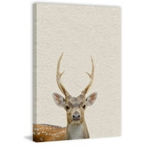Little Antler Painting Print on Wrapped Canvas