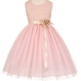 thumbnail image 1 of Little Baby Girls Lace Taffeta Jeweled Belt Sash Flowers Girls Dresses Pink L, 1 of 4