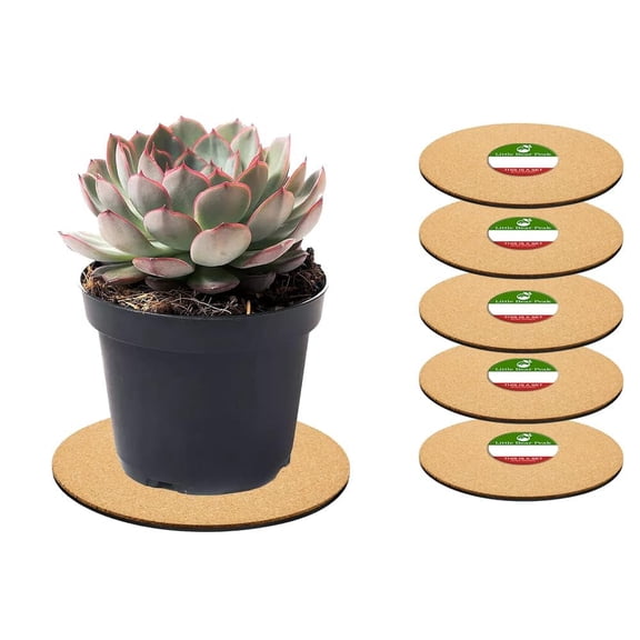 Little Bear Peak Cork Plant Mats (8" Diameter, 5-Pack) with a Rubber Base - Absorbent Round Plant Coasters for Kitchen - Hot Pads - Arts & Crafts Projects - Indoor and Outdoor Use