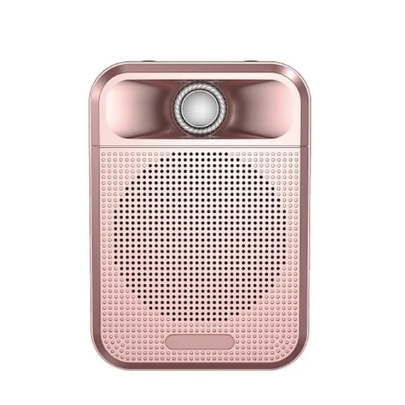 Little Bee Loudspeaker Portable Teacher Teaching Lecture With Guide Horn Hanging From Waist ,High Sound