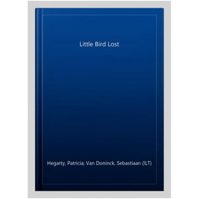 Little Bird Lost