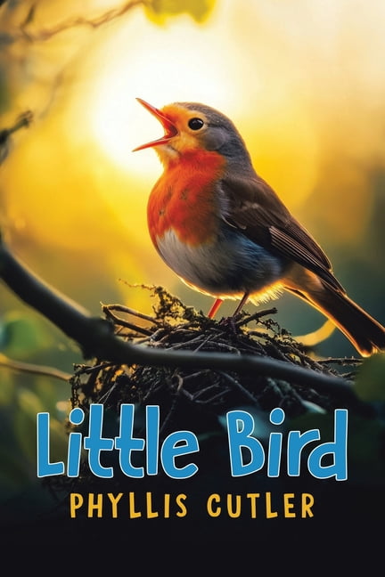 Little Bird, (Paperback)