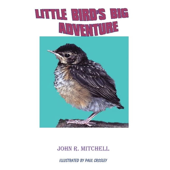 Little Bird's Big Adventure, (Paperback)
