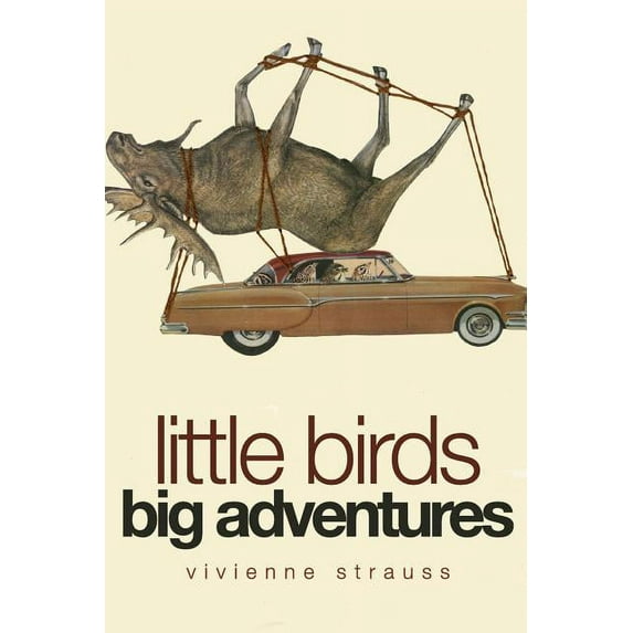 Little Birds Big Adventures: The Bird Collage Art of Vivienne Strauss Paperback 0996720715 9780996720717 Vivienne Strauss