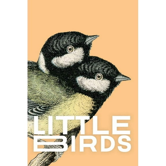 Little Birds, (Paperback)