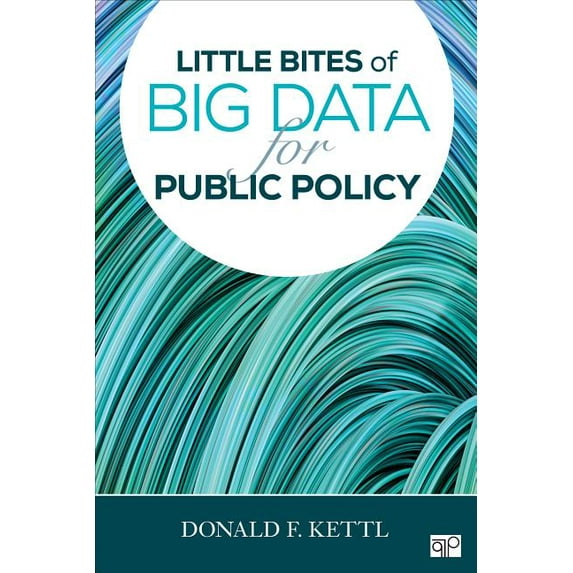 Little Bites of Big Data for Public Policy, (Paperback)