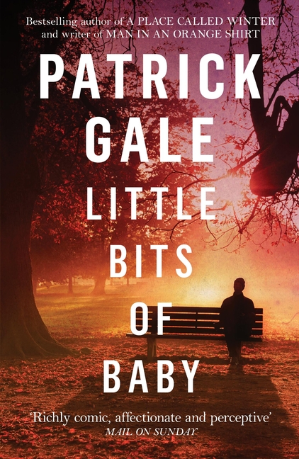 Little Bits of Baby, (Paperback)