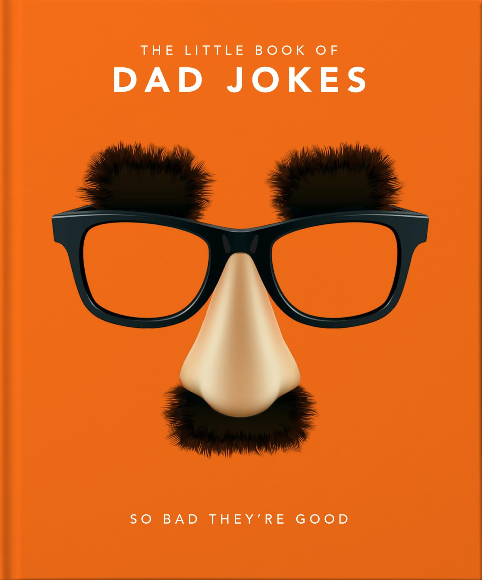 HIPPO! ORANGE Little Books of Humor & Gift: The Little Book of Dad Jokes (Hardcover)