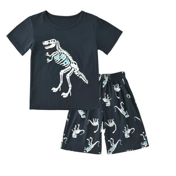 Little Boys Cartoon Dinosaur Tops Shorts Sets Outfits Summer Clothes Size 5-6T